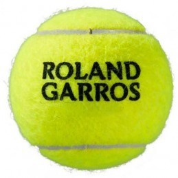 Wilson roland garros all court 4 can v2